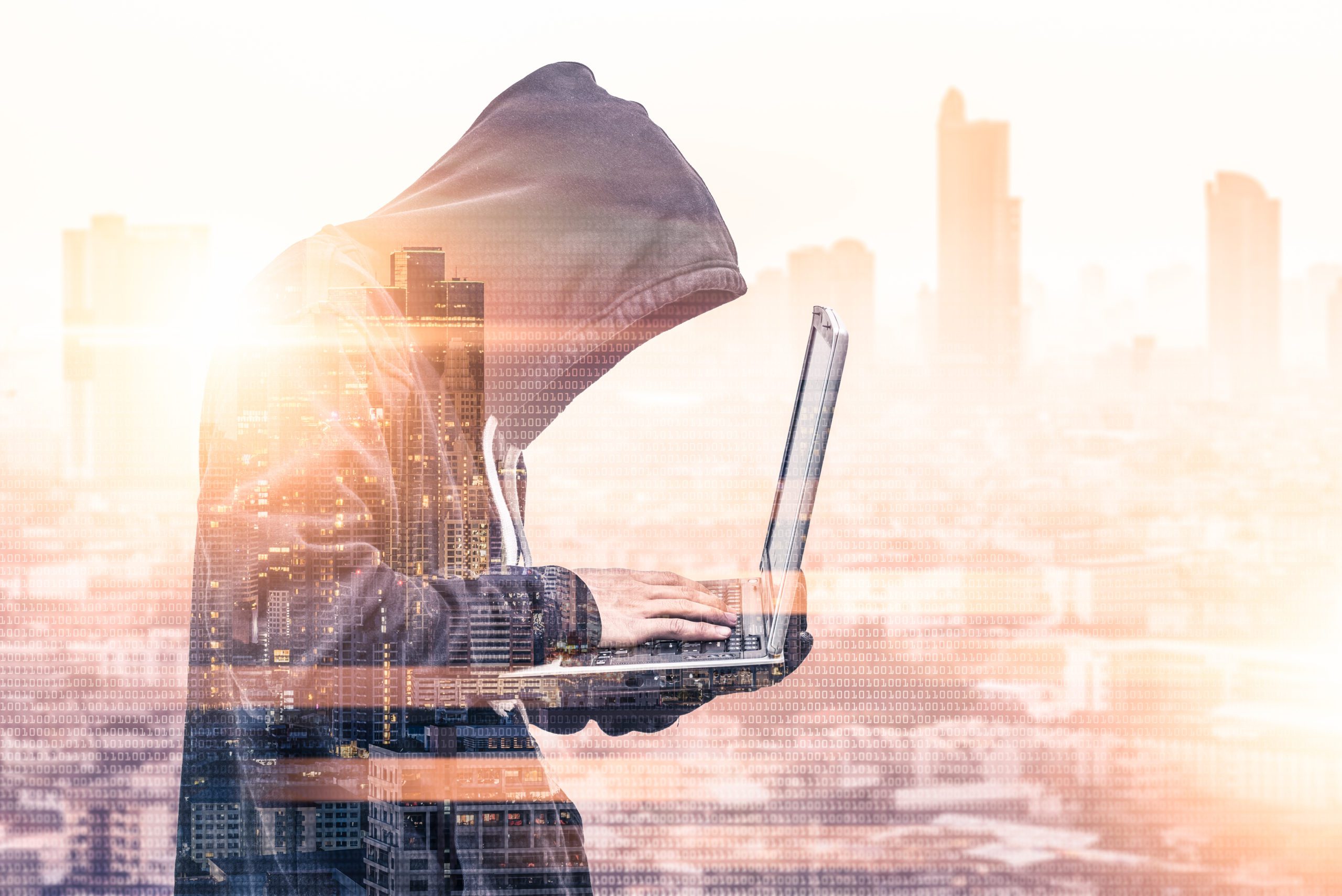 Cybersecurity protection against ransomware and digital threats